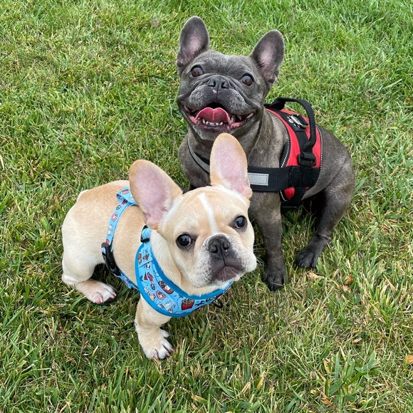 Meet your Posher, Michelle aka Mimi - Picture 4 of 4